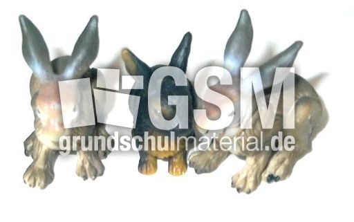 Hasen-3.jpg
